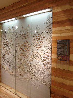 gasserschreinerei_bild_ladenbau (508)