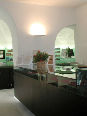 gasserschreinerei_bild_ladenbau (515)